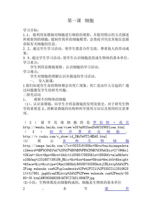 青岛版小学六年级科学《细胞》教案