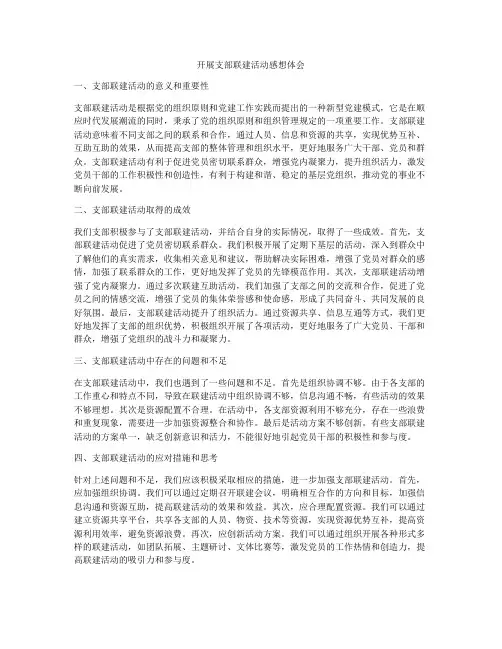 开展支部联建活动感想体会