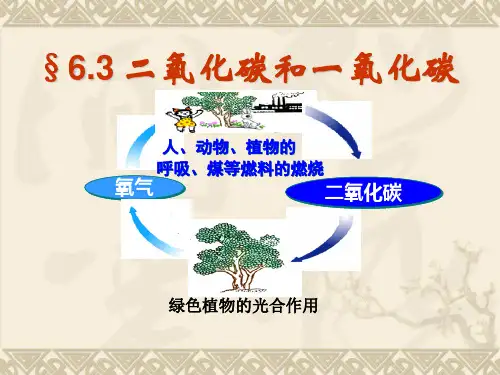 初中人教版九年级上册-6.3-二氧化碳和一氧化碳-课件-(共36张PPT)