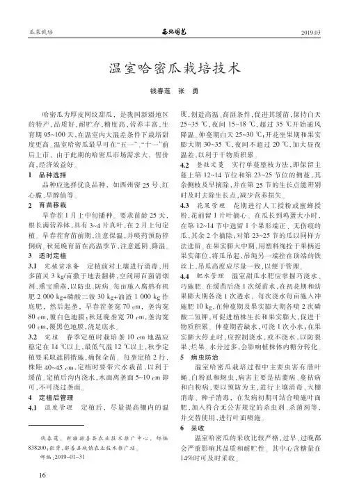 温室哈密瓜栽培技术