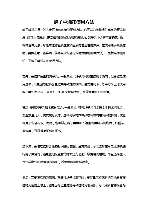 鸽子粪浇花使用方法