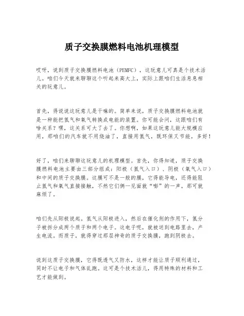 质子交换膜燃料电池机理模型