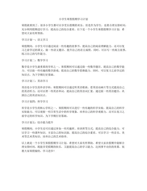 小学生寒假假期学习计划