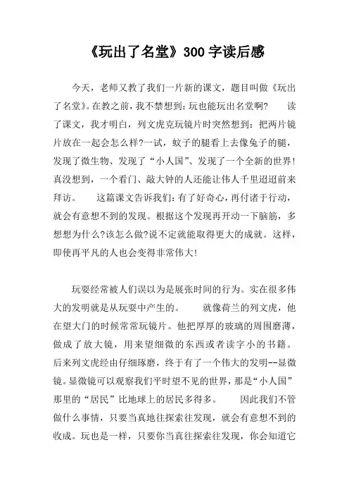 《玩出了名堂》300字读后感