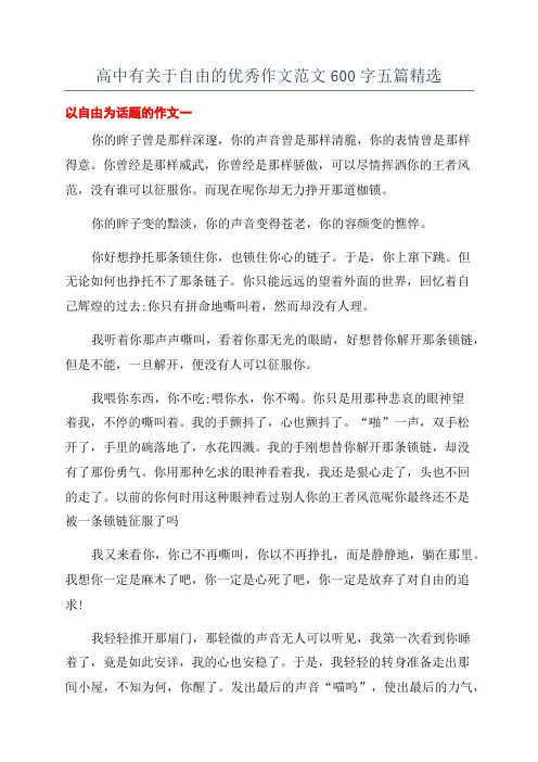 高中有关于自由的优秀作文范文600字五篇精选