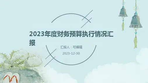 2023年度财务预算执行情况汇报