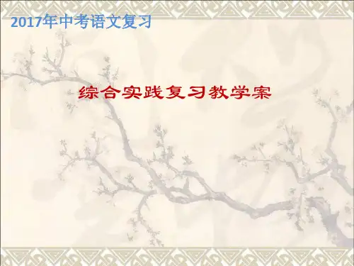江苏省响水县2017届中考语文综合实践复习课件