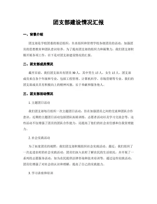团支部建设情况汇报