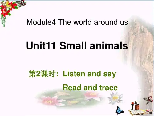 三年级英语上册Unit11Smallanimals(第2课时)  ppt课件