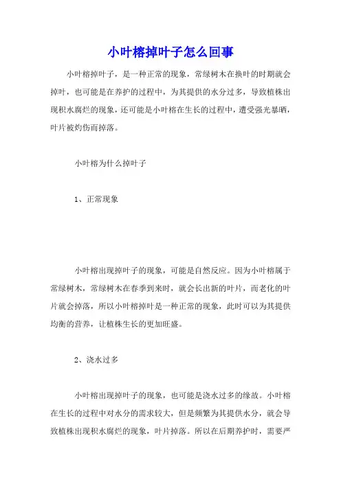 小叶榕掉叶子怎么回事