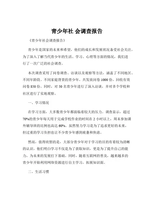 青少年社 会调查报告