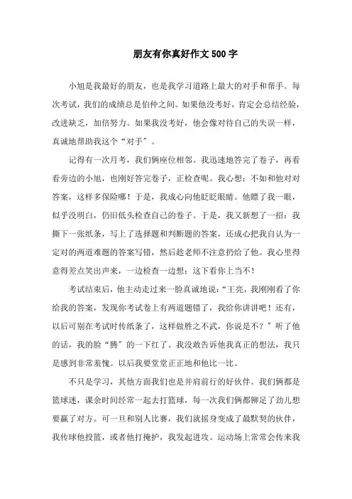 朋友有你真好作文500字精选