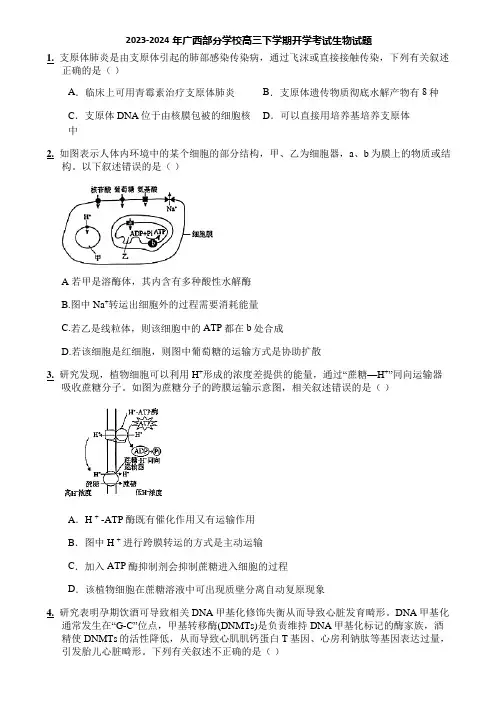 2023-2024年广西部分学校高三下学期开学考试生物试题