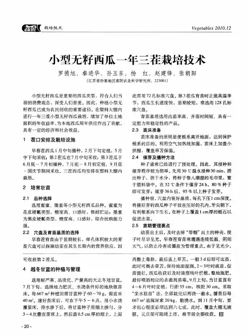 小型无籽西瓜一年三茬栽培技术