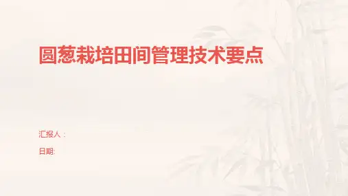 圆葱栽培田间管理技术要点.pptx