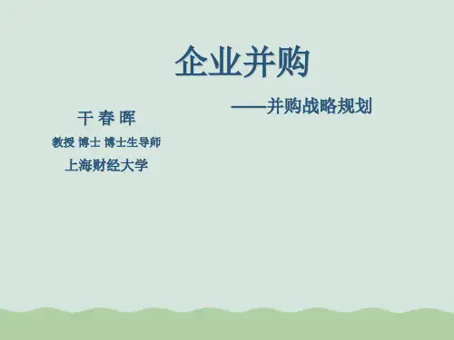 企业并购战略规划PPT(共101页)