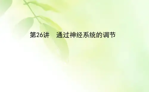2021版新高考地区选考生物一轮复习课件：第26讲 通过神经系统的调节