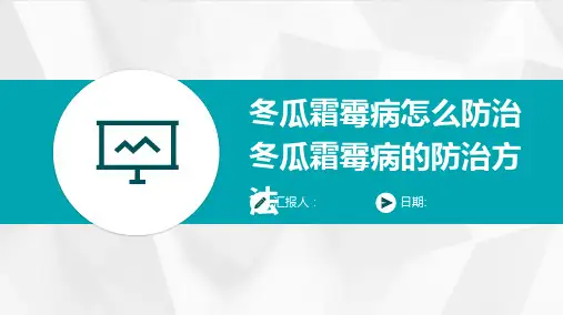 冬瓜霜霉病怎么防治冬瓜霜霉病的防治方法