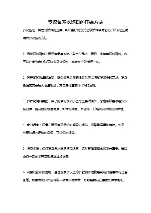 罗汉鱼不吃饲料的正确方法