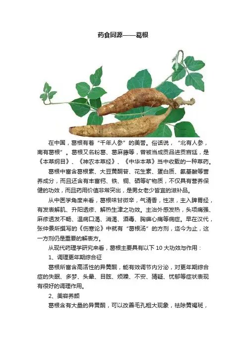 药食同源——葛根
