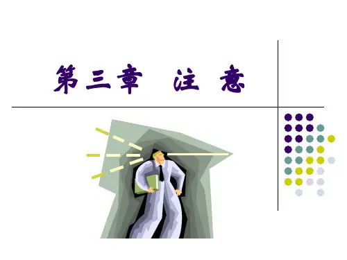 第3章 注意
