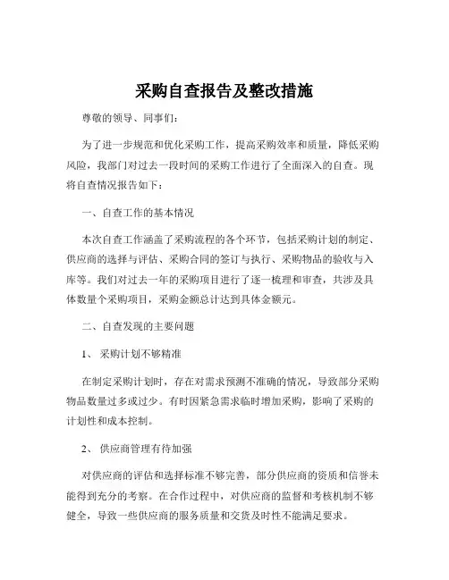 采购自查报告及整改措施