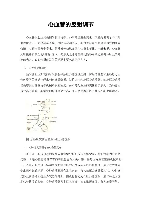 心血管的反射调节