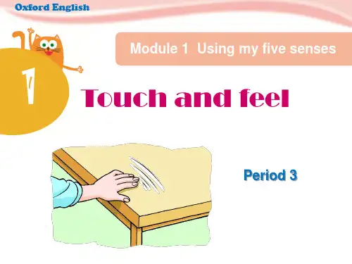 四年级英语下册课件-Module 1 Unit 1 Touch and feel牛津上海版