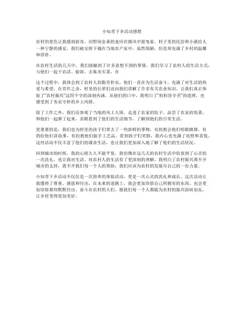 小知青下乡活动感想