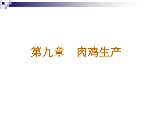 第九章  肉鸡生产(cx)