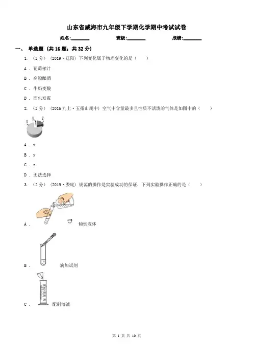 山东省威海市九年级下学期化学期中考试试卷