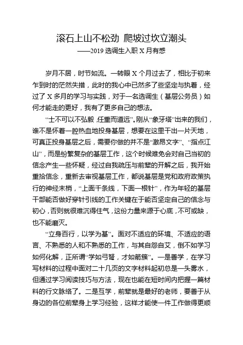 选调生入职以来心得体会
