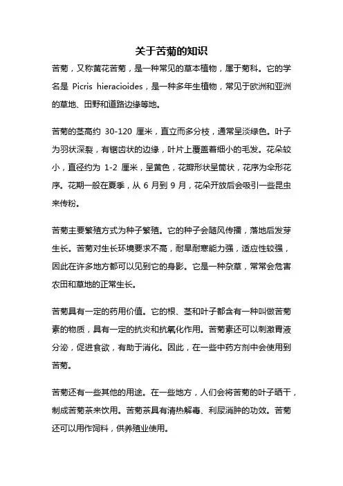 关于苦菊的知识