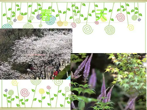 教科版科学四年级下册第二单元油菜花开了PPT课件