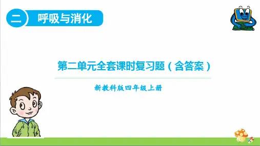 2020教科版四年级科学第二单元呼吸与消化课时练习题全套(含答案)