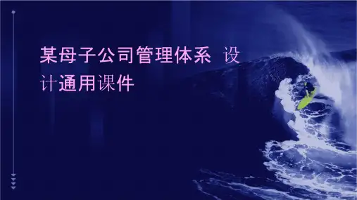 某母子公司管理体系设计通用课件