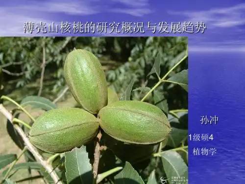 植物化学