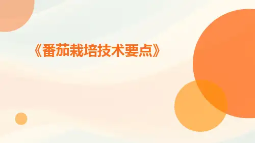番茄栽培技术要点