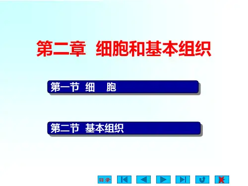 细胞和基本组织