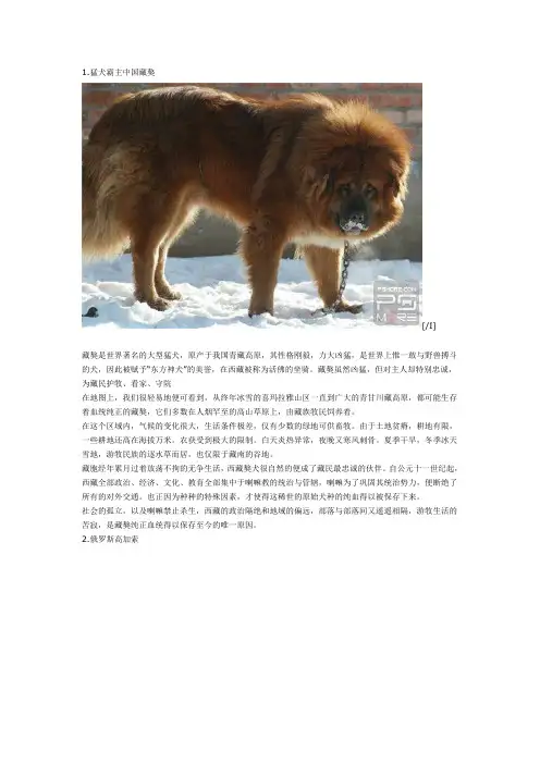 世界名犬大全