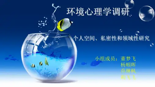 环境心理学个人空间、私密性和领域性调研