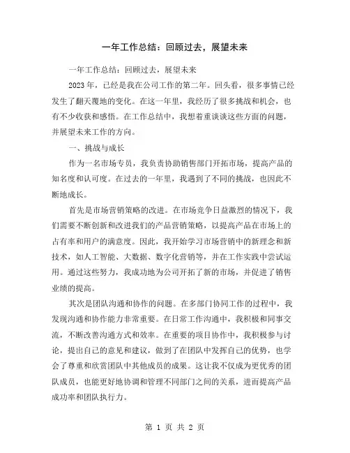 一年工作总结：回顾过去,展望未来