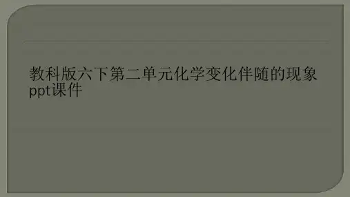 教科版六下第二单元化学变化伴随的现象ppt课件