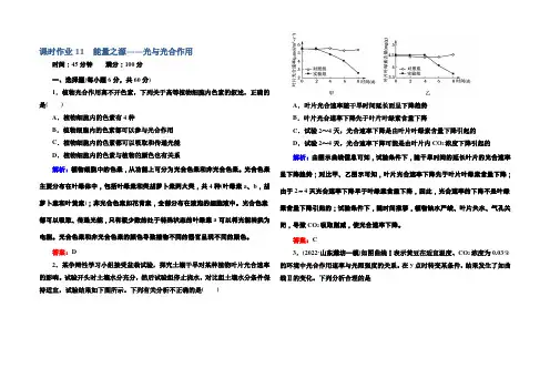 2021届高考生物一轮收尾达标课时作业11 能量之源——光与光合作用 Word版含解析