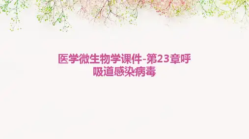 医学微生物学课件-第23章呼吸道感染病毒