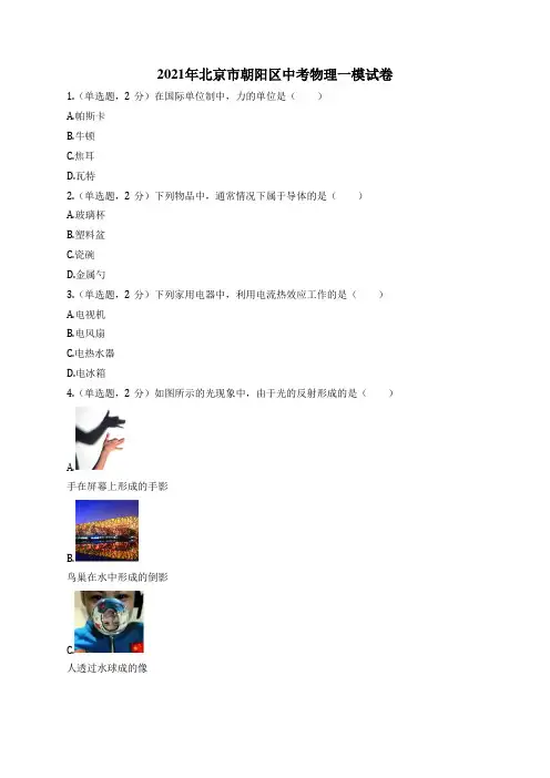 2021年北京市朝阳区中考物理一模试卷