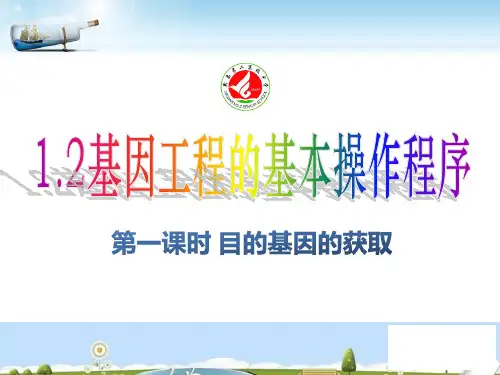 高中生物选修3专题1 基因工程_1.2 基因工程的基本操作程序 (共27张PPT)