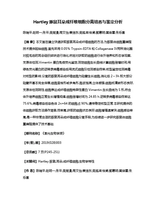 Hartley豚鼠耳朵成纤维细胞分离培养与鉴定分析
