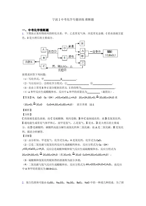 宁波1中考化学专题训练 推断题