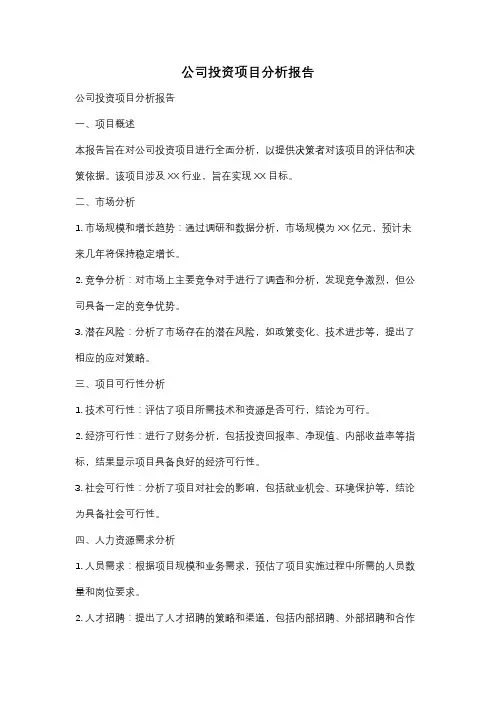 公司投资项目分析报告